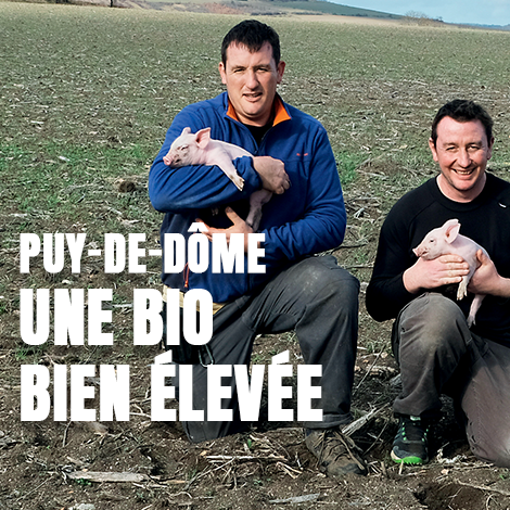 Puy-de-Dôme : une bio bien élevée