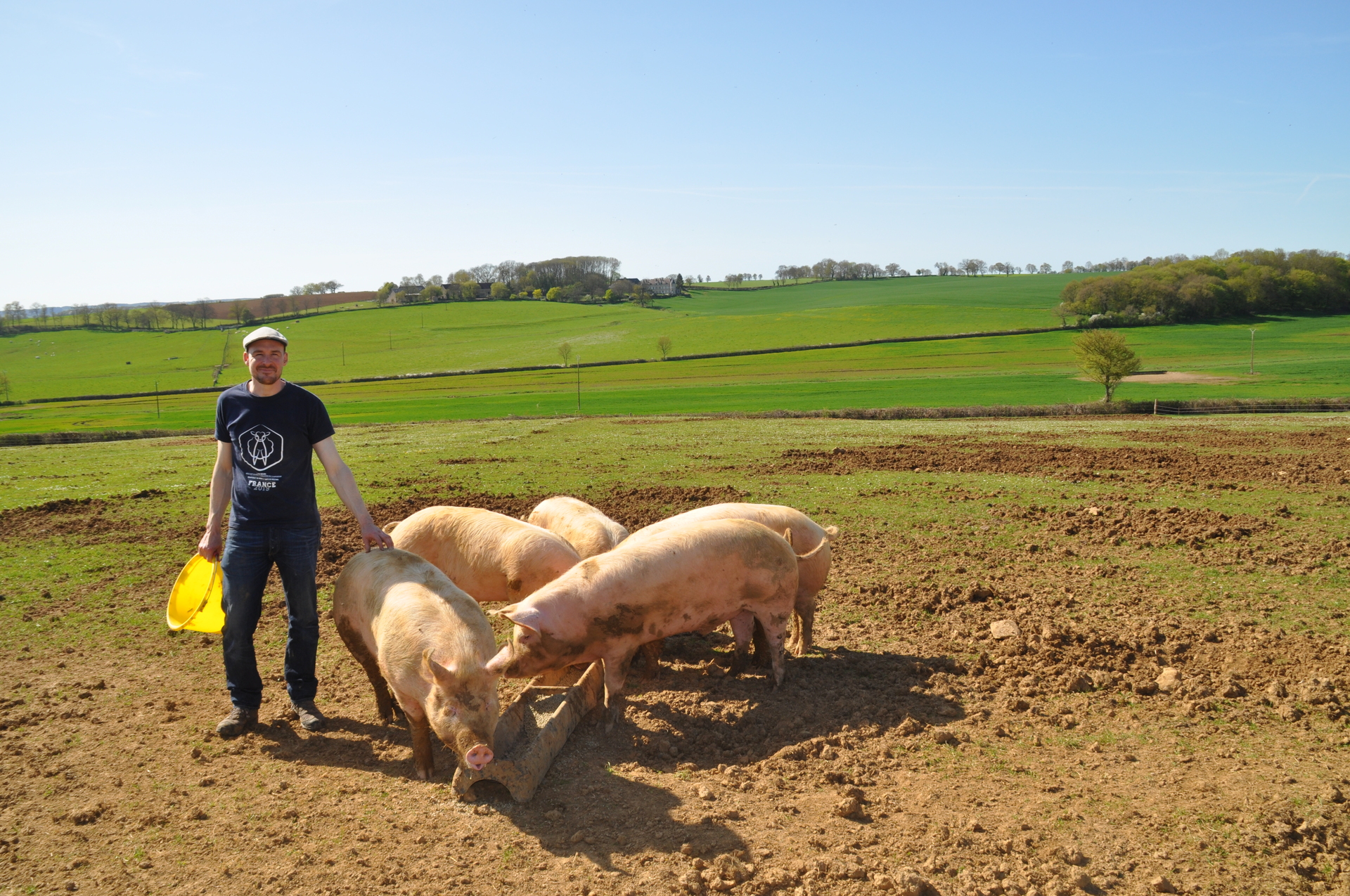 Delobbe Samuel - VIANDE DE PORC