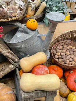 412-biocoop-autun-legume-saison-bio-locaux-arrosoir-courge-noix.webp