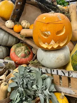 412-biocoop-autun-legume-saison-bio-locaux-halloween-courge-orange.webp
