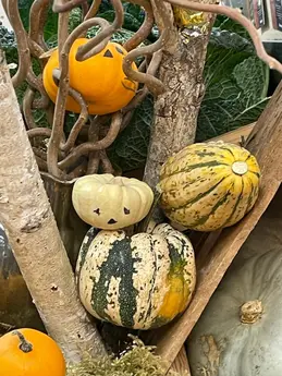 412-biocoop-autun-legume-saison-bio-locaux-halloween-courge.webp