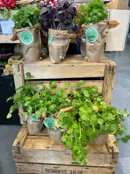 412-biocoop-autun-plante-bio-frais.webp