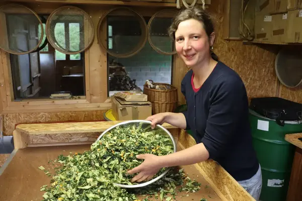 TRAPI TRAPAN - Marie RANCILLAC