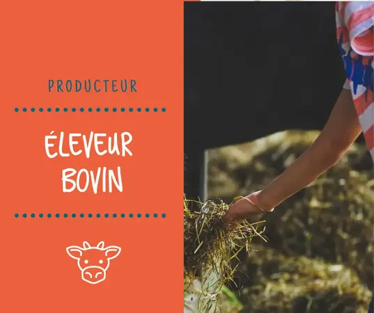 Demizieux Dominique - VIANDES BOVINES